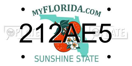 212AE5 Florida License Plate