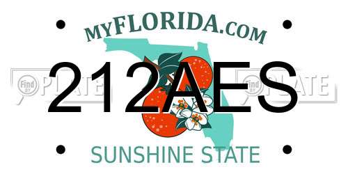 212AES Florida License Plate