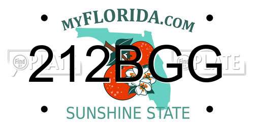 212BGG Florida License Plate