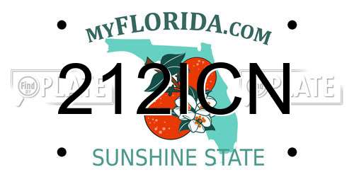 212ICN Florida License Plate