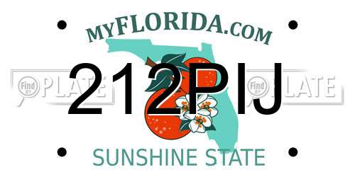 212PIJ Florida License Plate