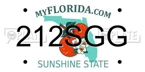 212SGG Florida License Plate