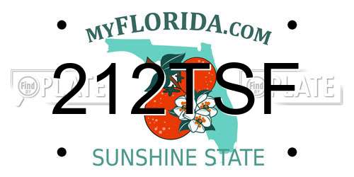 212TSF Florida License Plate