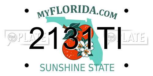 2131TI Florida License Plate