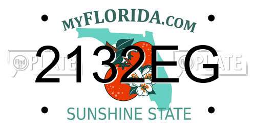 2132EG Florida License Plate