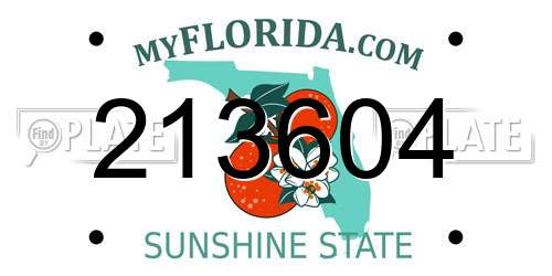 213604 Florida License Plate