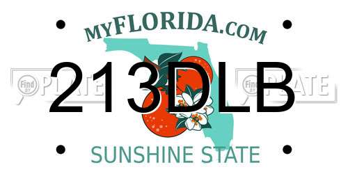 213DLB Florida License Plate