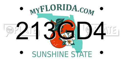 213GD4 Florida License Plate
