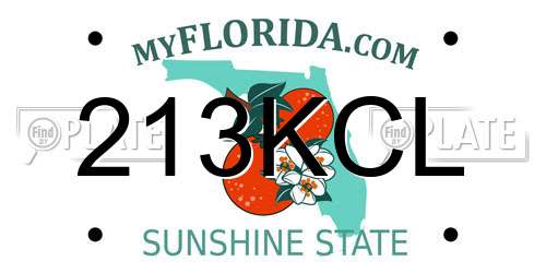 213KCL Florida License Plate