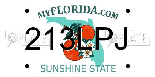 213LPJ Florida License Plate
