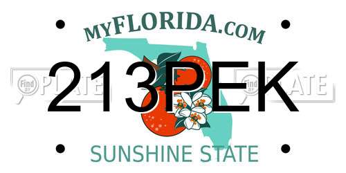 213PEK Florida License Plate