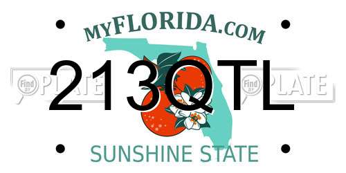 213QTL Florida License Plate