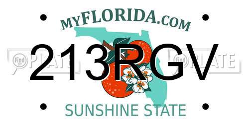 213RGV Florida License Plate