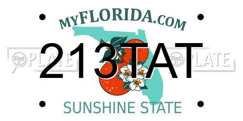 213TAT Florida License Plate