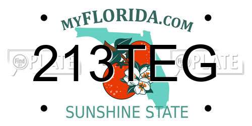 213TEG Florida License Plate