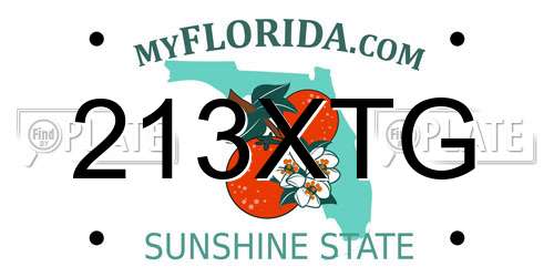 213XTG Florida License Plate