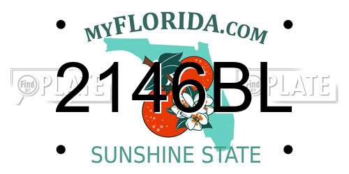 2146BL Florida License Plate
