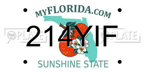 214YIF Florida License Plate