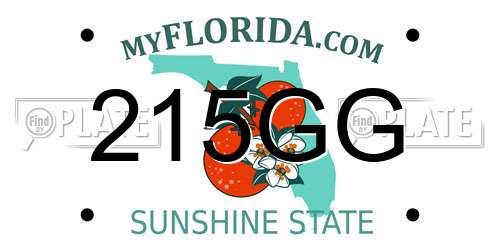 215GG Florida License Plate