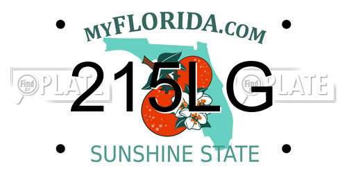 215LG Florida License Plate