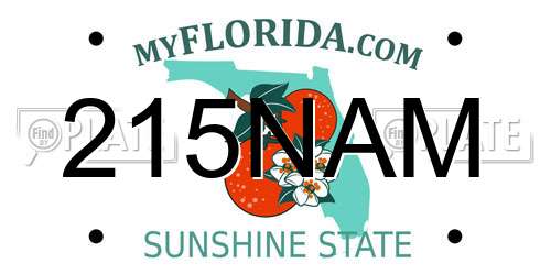 215NAM Florida License Plate