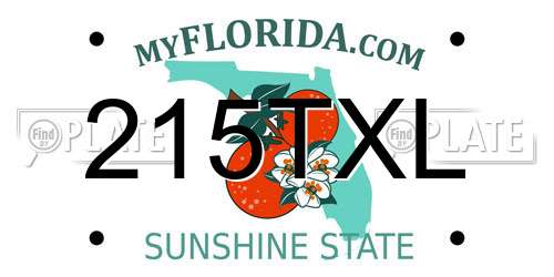 215TXL Florida License Plate