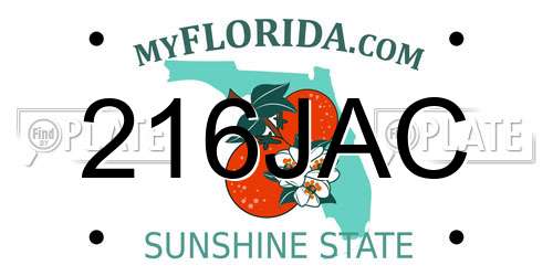 216JAC Florida License Plate