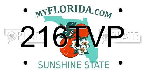 216TVP Florida License Plate