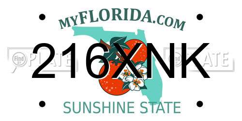 216XNK Florida License Plate