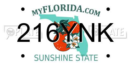 216YNK Florida License Plate