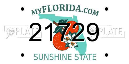 21729 Florida License Plate