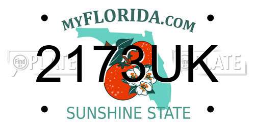 2173UK Florida License Plate