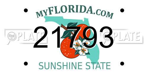 21793 Florida License Plate
