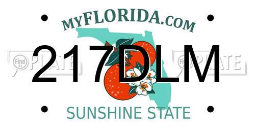 217DLM Florida License Plate