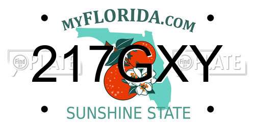217GXY Florida License Plate