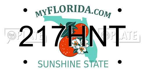 217HNT Florida License Plate