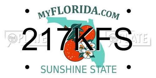 217KFS Florida License Plate