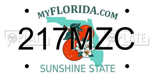 217MZC Florida License Plate