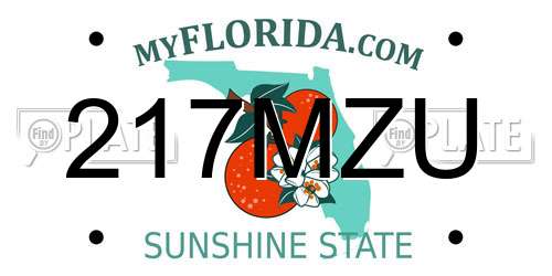 217MZU Florida License Plate