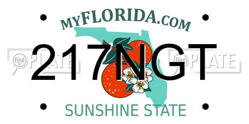217NGT Florida License Plate