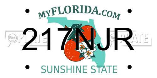217NJR Florida License Plate
