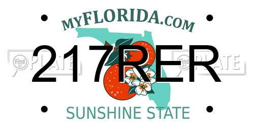 217RER Florida License Plate