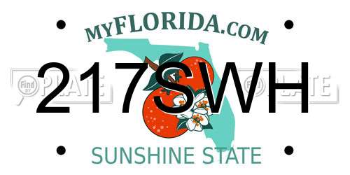217SWH Florida License Plate