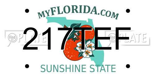 217TEF Florida License Plate