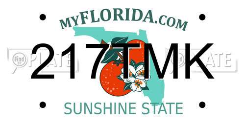 217TMK Florida License Plate