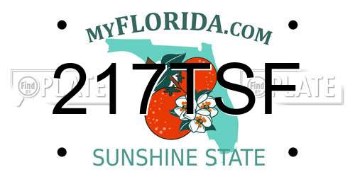 217TSF Florida License Plate