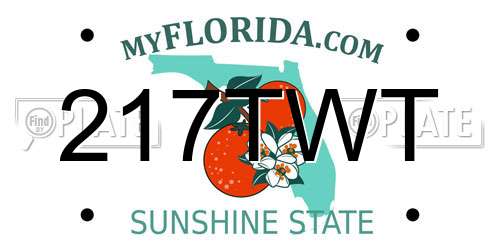 217TWT Florida License Plate