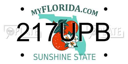 217UPB Florida License Plate