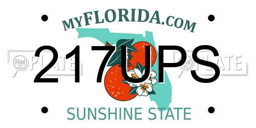 217UPS Florida License Plate