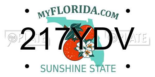 217YDV Florida License Plate